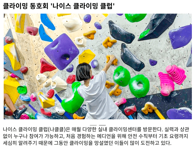 회사 홍보 자료로 쓰인 사내 클라이밍 동호회